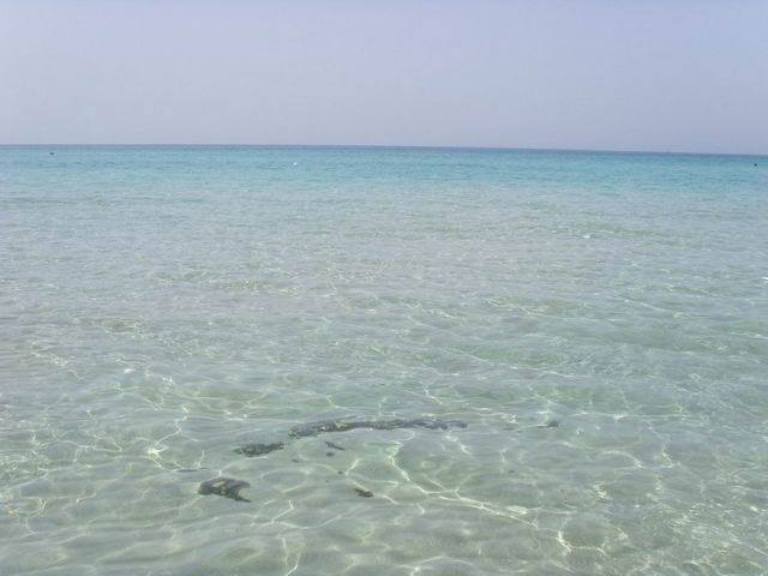 Il mare cristallino nel Parco delle Dune Costiere