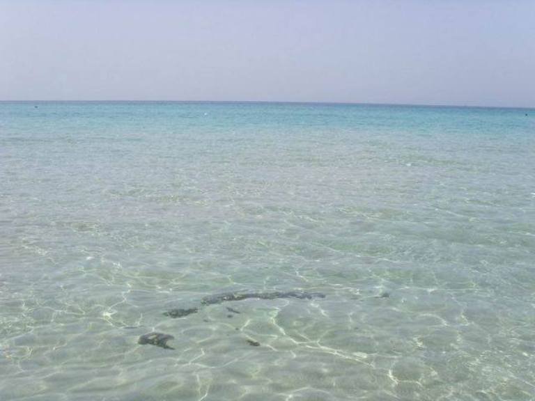 Il mare cristallino nel Parco delle Dune Costiere